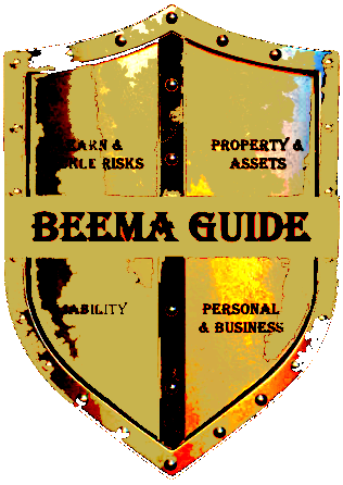 BeemaGuide