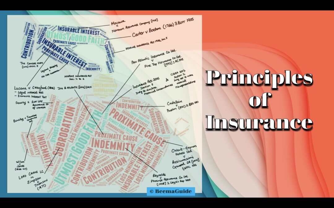 Principles of Insurance